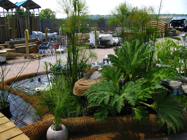 bassin de jardin magasin